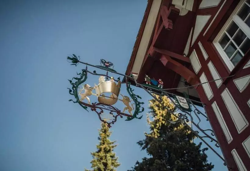 ホテル Krone Hard   Self Check In