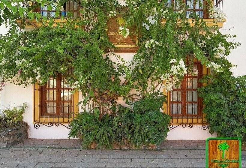 בית מלון כפרי La Casa De Las Cocadas