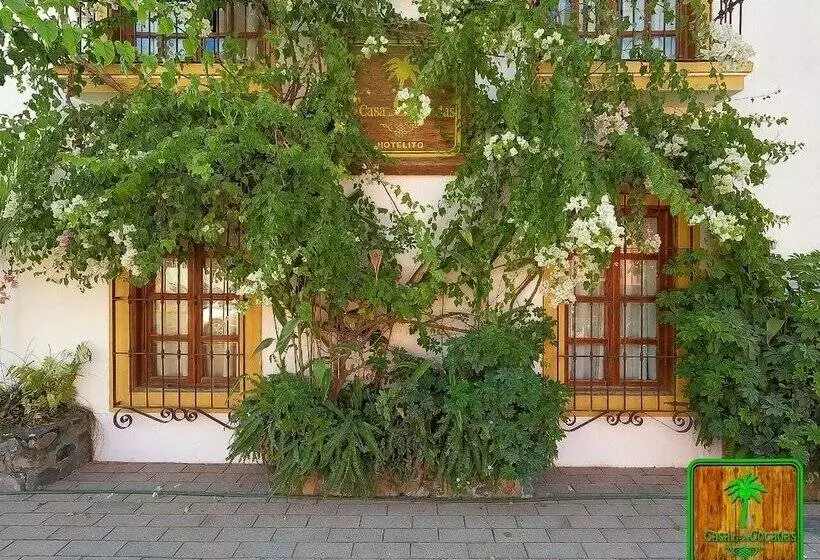 هتل La Casa De Las Cocadas