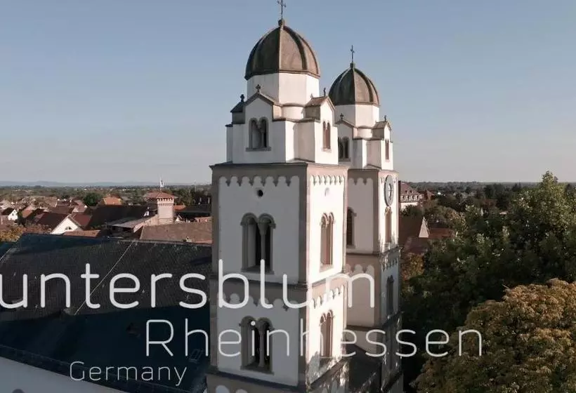 Hotelli Land Weingold Guntersblum