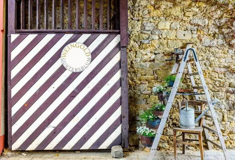 Hotelli Land Weingold Guntersblum