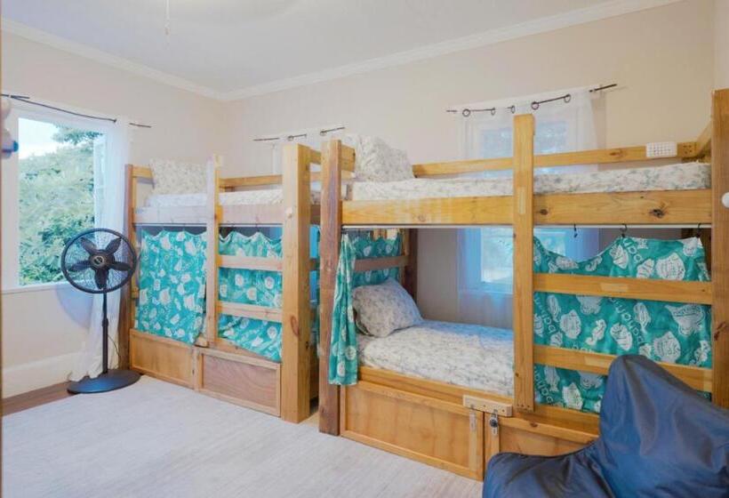 هاستل Hillcrest