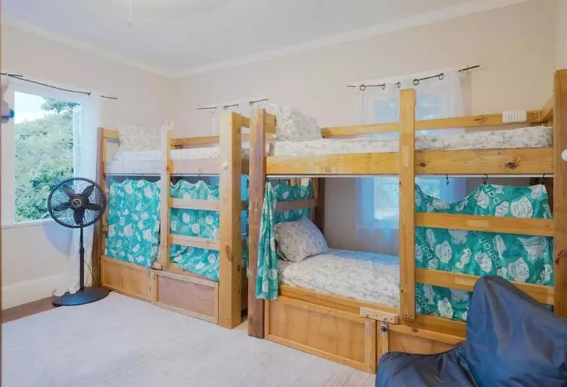 هاستل Hillcrest