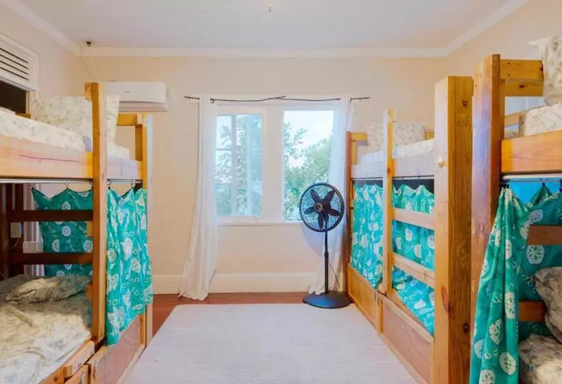 هاستل Hillcrest