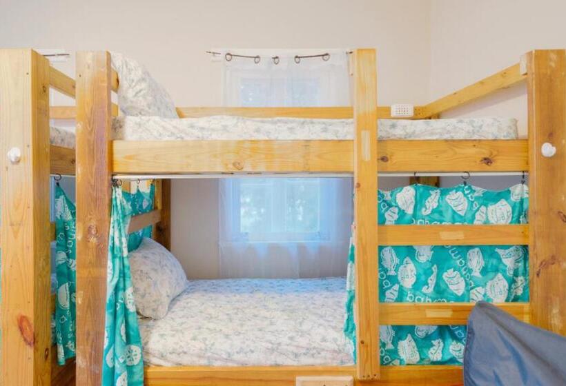 هاستل Hillcrest