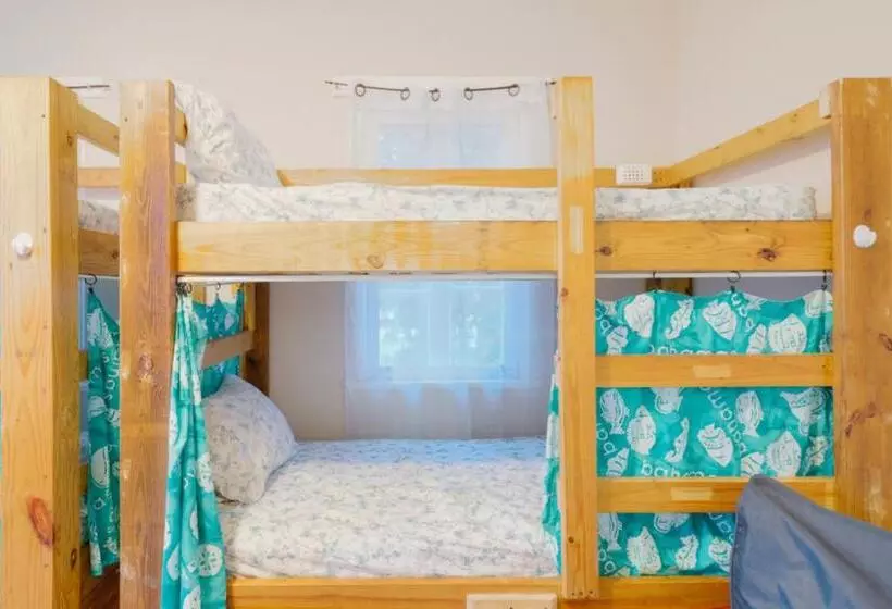 هاستل Hillcrest