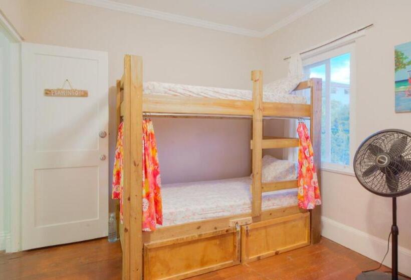 هاستل Hillcrest