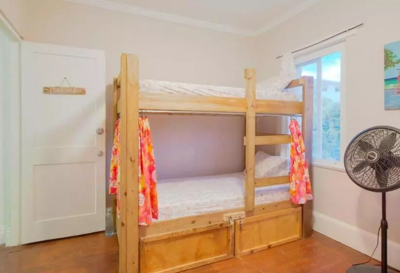 هاستل Hillcrest