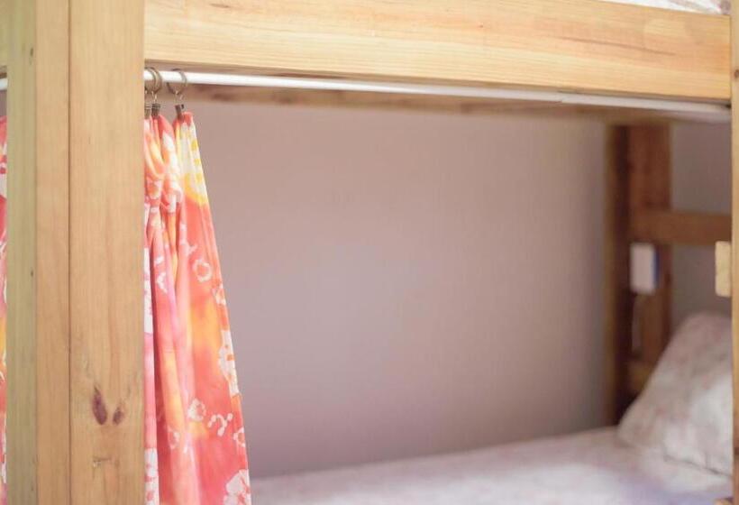 هاستل Hillcrest