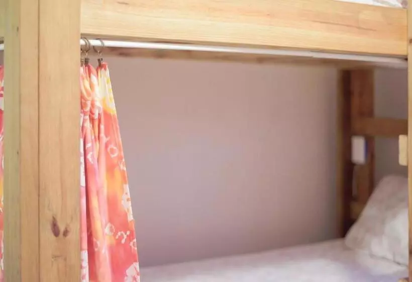 هاستل Hillcrest