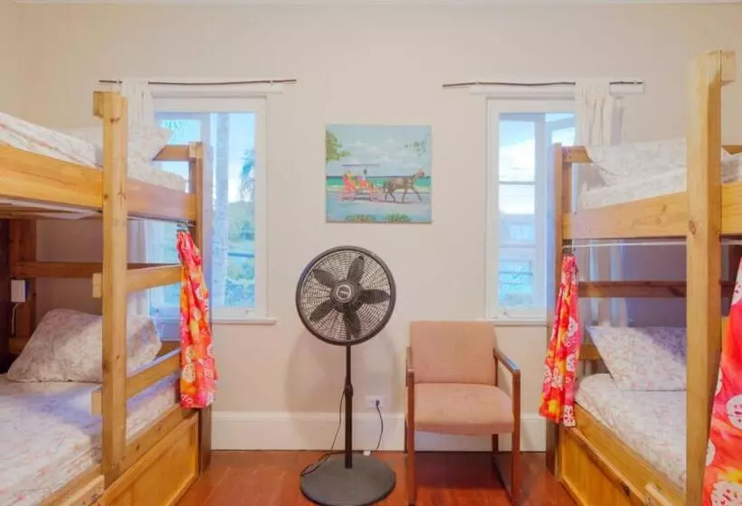 هاستل Hillcrest