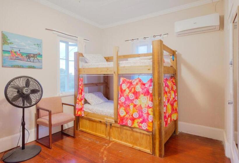 هاستل Hillcrest