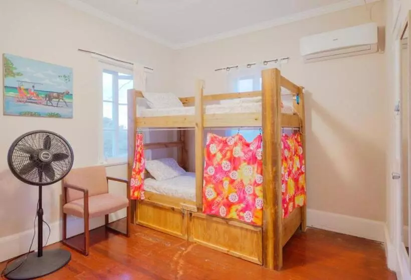 هاستل Hillcrest