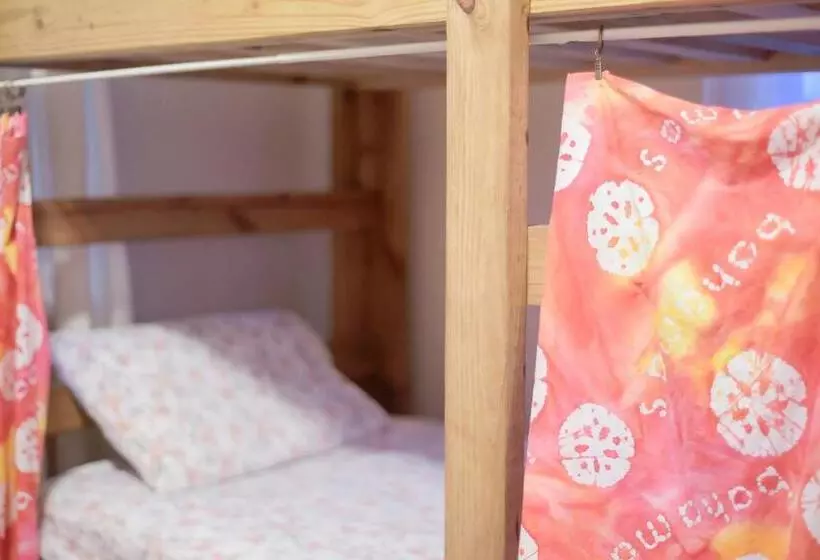 هاستل Hillcrest