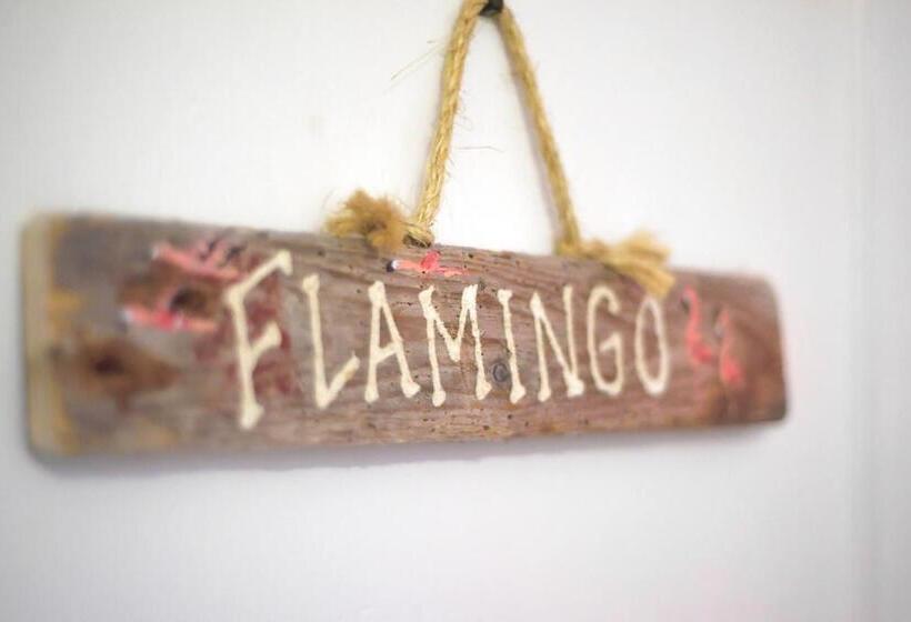 هاستل Hillcrest