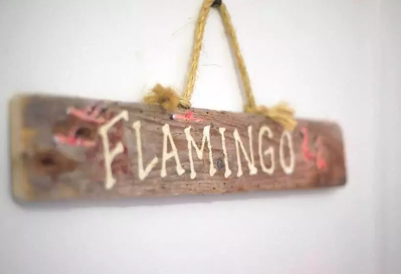 هاستل Hillcrest