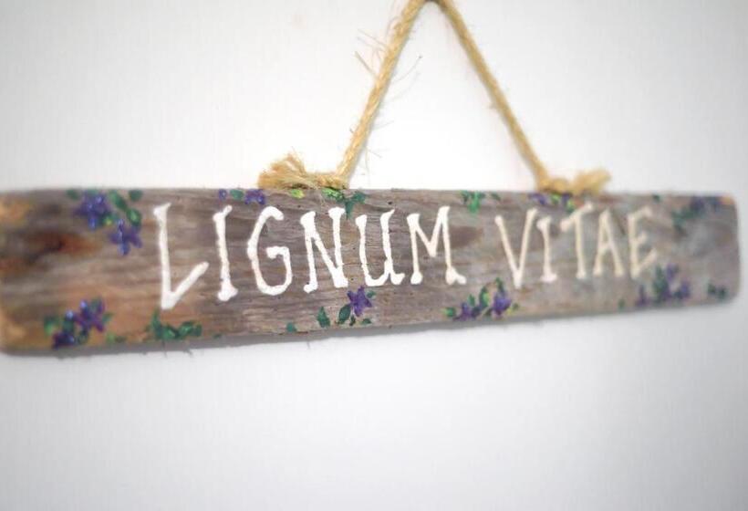 هاستل Hillcrest