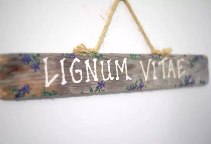 هاستل Hillcrest