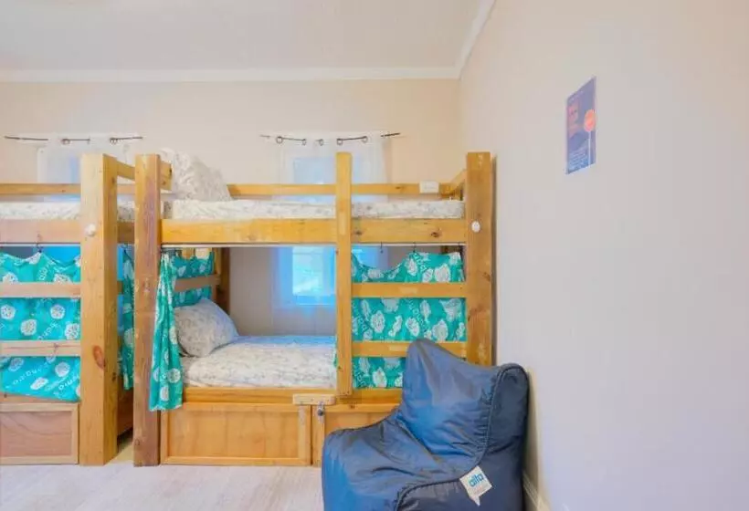 هاستل Hillcrest