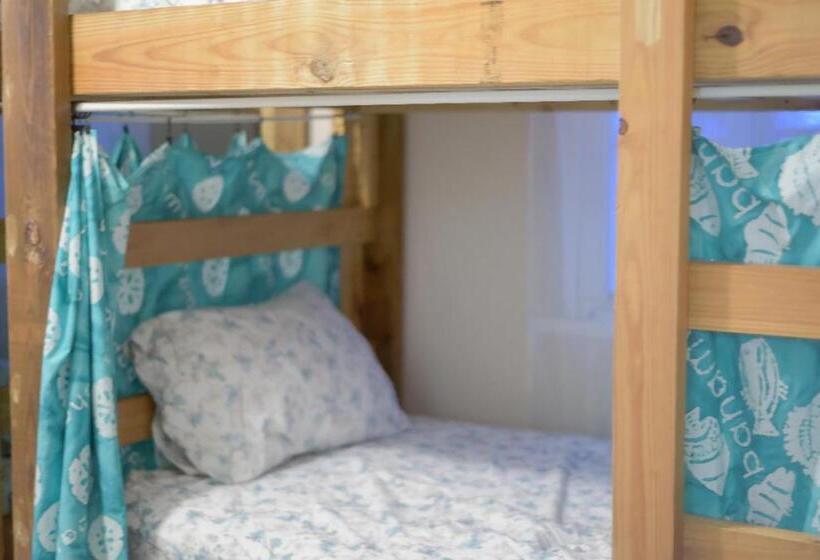 هاستل Hillcrest