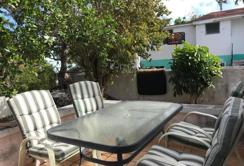 هاستل Hillcrest