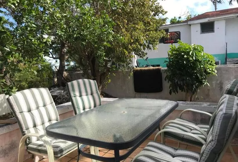 هاستل Hillcrest