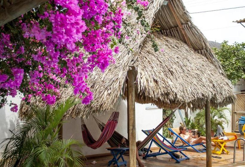 Divanga Hostel And Diving