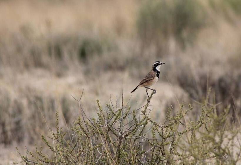 בית מלון כפרי Eldorado Lodge Cc