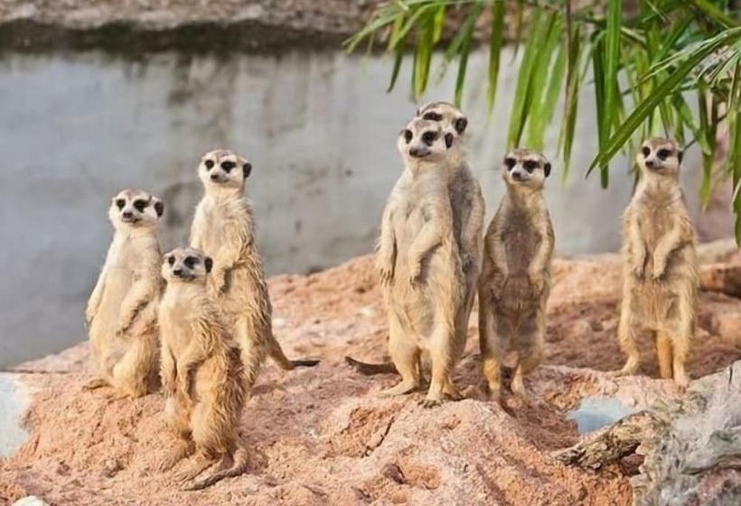 בית מלון כפרי Eldorado Lodge Cc