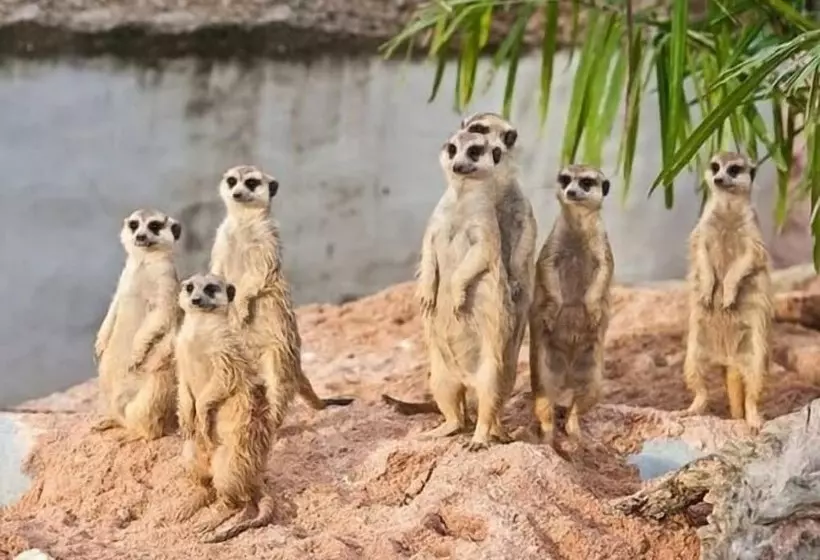 ホテル Eldorado Lodge Cc