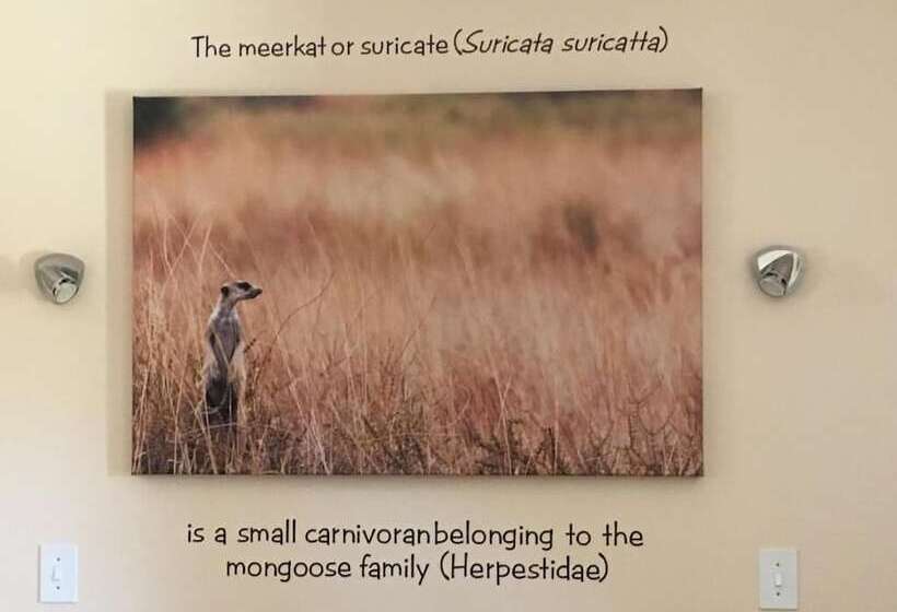 בית מלון כפרי Eldorado Lodge Cc