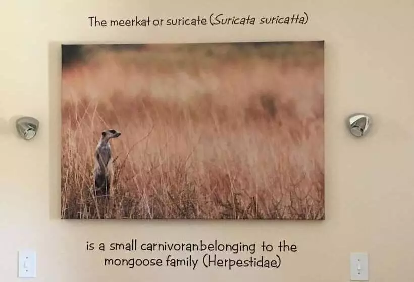 ホテル Eldorado Lodge Cc