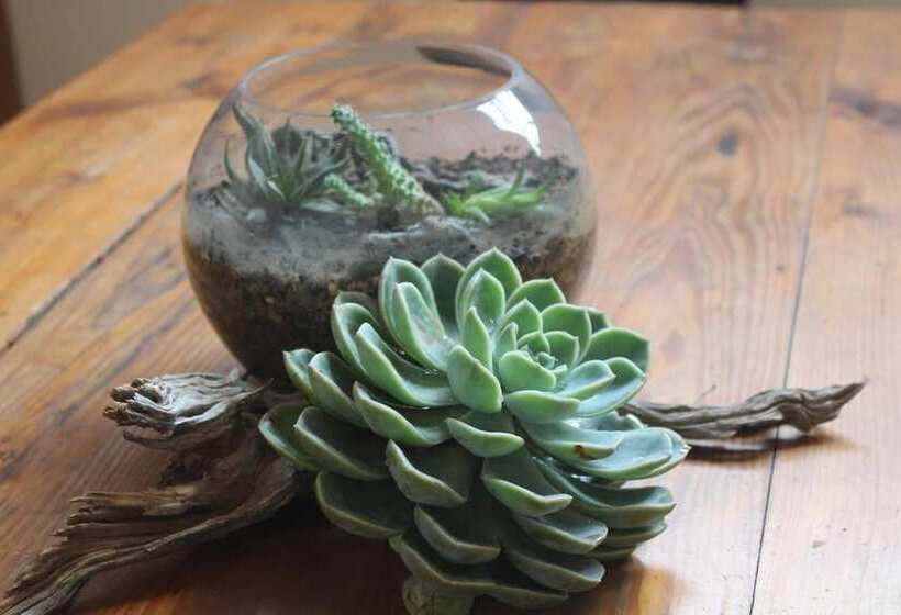 בית מלון כפרי Eldorado Lodge Cc