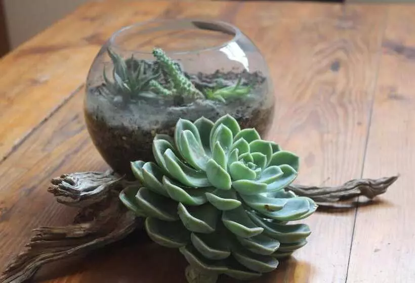 ホテル Eldorado Lodge Cc