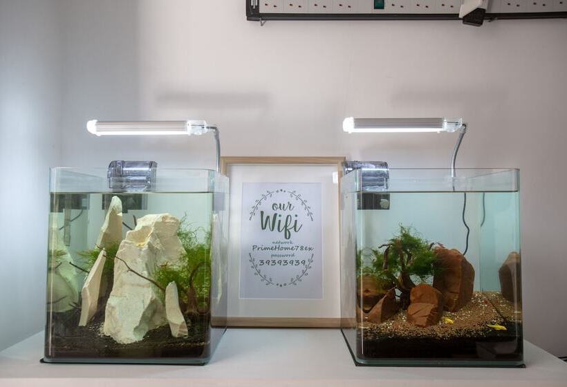 Satori House   Hostel