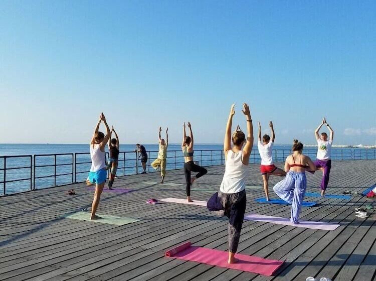 Satori House   Hostel