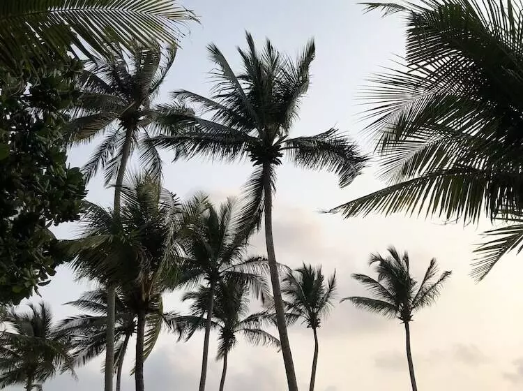 Shalimar Beach Resort