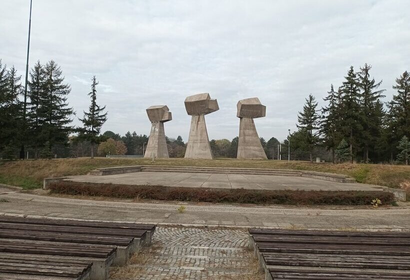 هاستل Bloom Inn