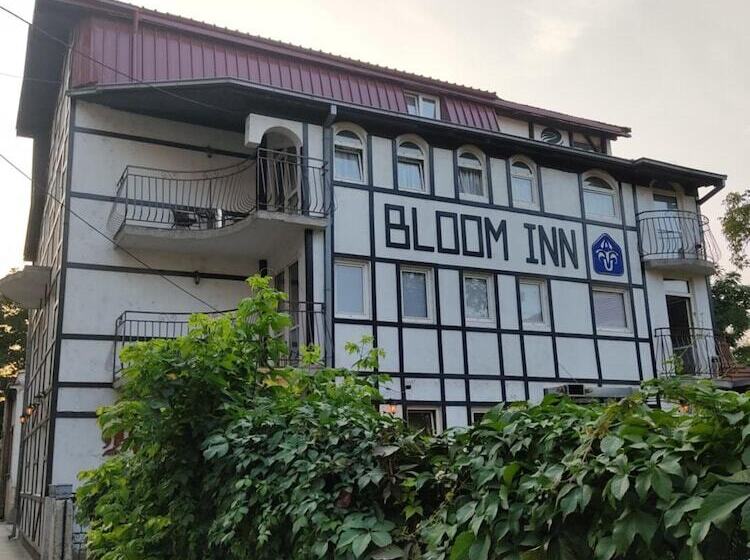 هاستل Bloom Inn