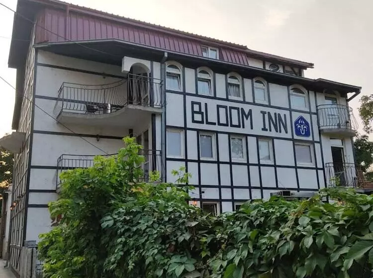 هاستل Bloom Inn