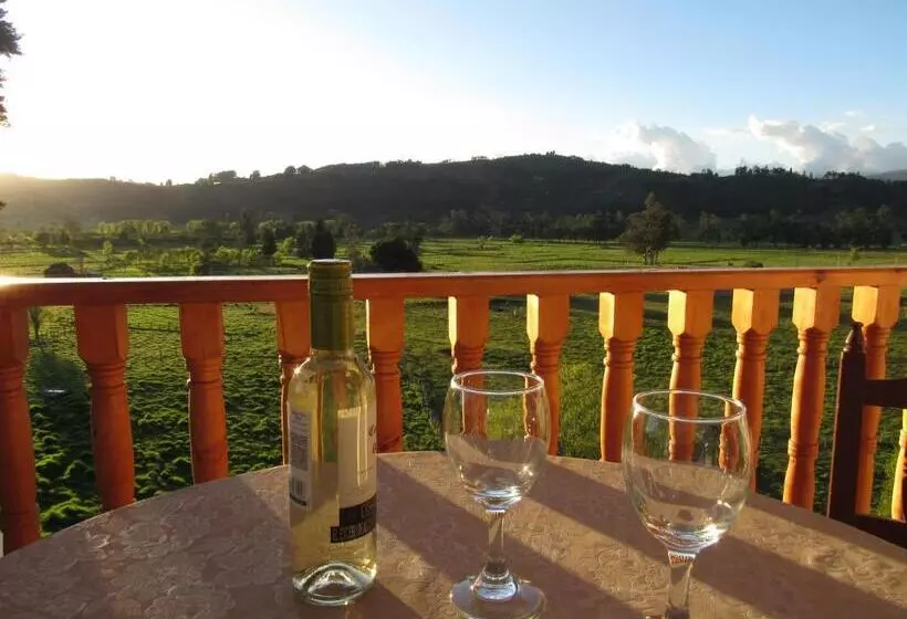 ホテル El Cangrejo