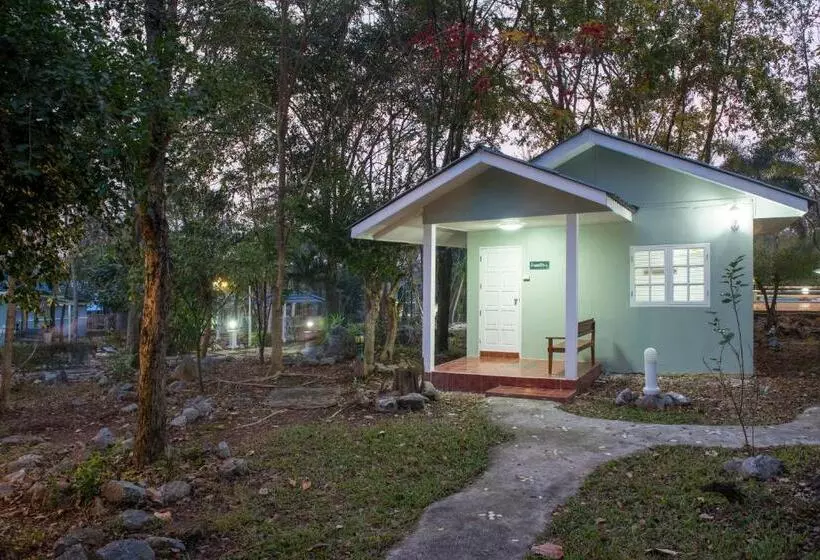 استراحتگاه Ivy Cottage By Qiu