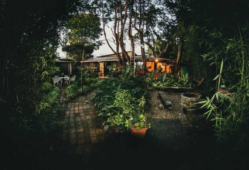 تختخواب و صبحانه Mitos Hostal