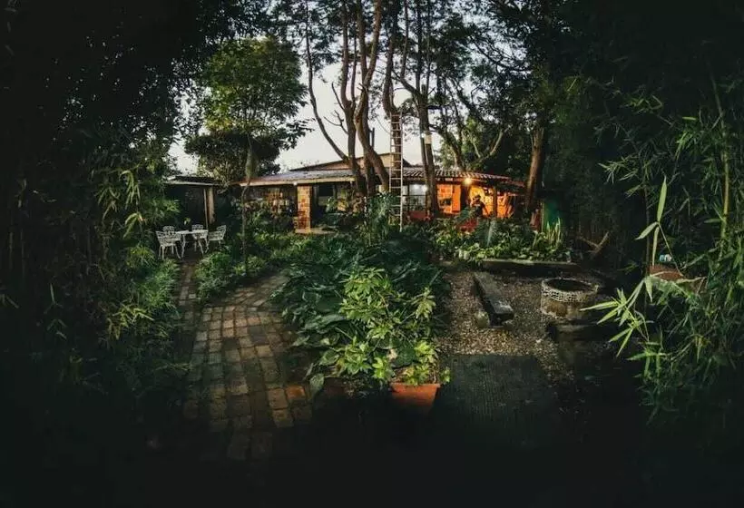 تختخواب و صبحانه Mitos Hostal
