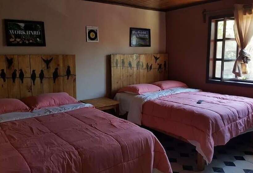 تختخواب و صبحانه Mitos Hostal
