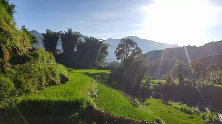 تختخواب و صبحانه Nguyen Dang Guesthouse