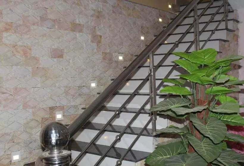 تختخواب و صبحانه Nguyen Dang Guesthouse