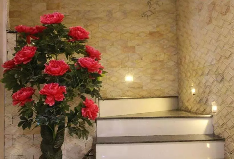 تختخواب و صبحانه Nguyen Dang Guesthouse