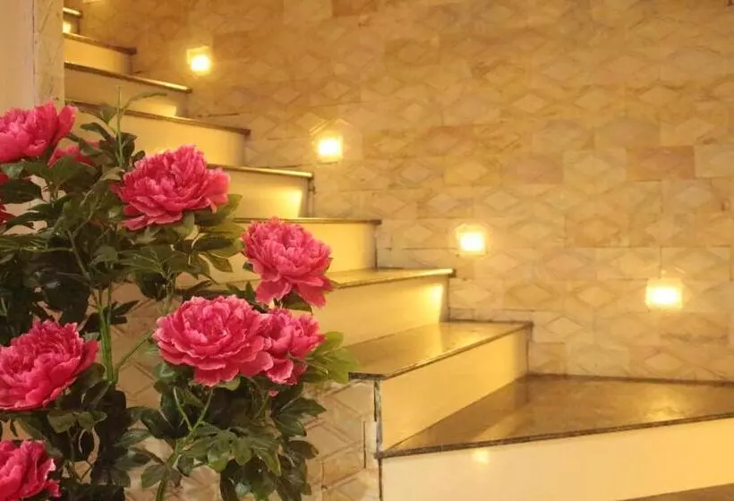 تختخواب و صبحانه Nguyen Dang Guesthouse