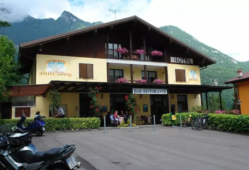 Hotelli Albergo Stella Alpina